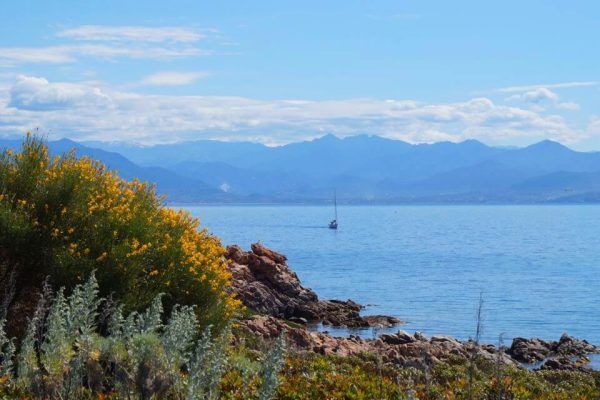 îles sanguinaires